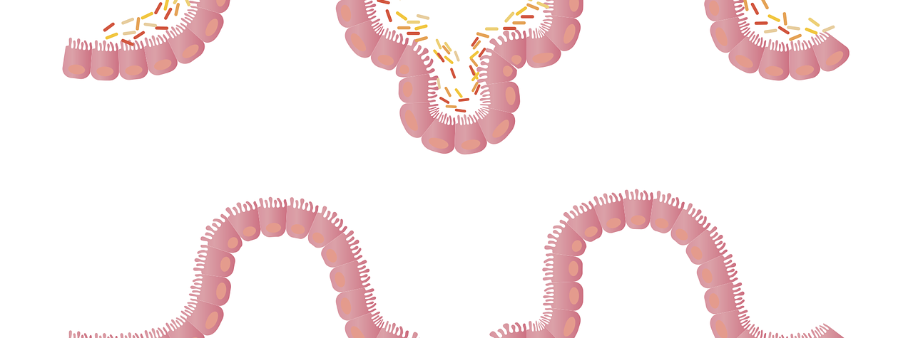 3 KEY INTESTINAL PARASITE SYMPTOMS IN ADULTS
